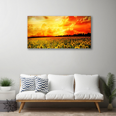 Bild canvas Äng Solrosor Blommor