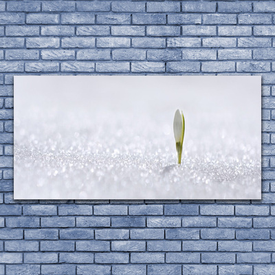 Foto på canvas Snödroppe Snö Vinter