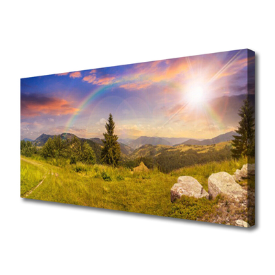 Fototryck canvas Berg äng natur himmel