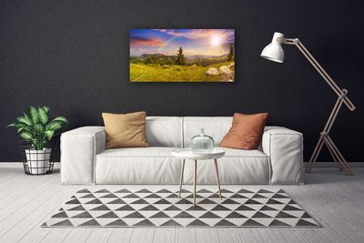 Fototryck canvas Berg äng natur himmel