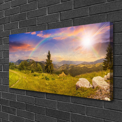 Fototryck canvas Berg äng natur himmel