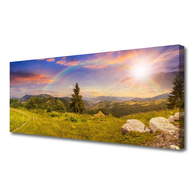 Fototryck canvas Berg äng natur himmel