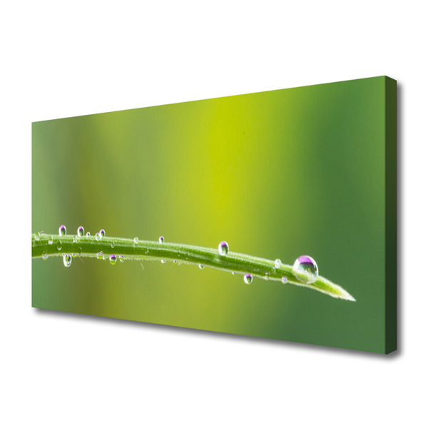 Bild på canvas Daggdroppe på gräset