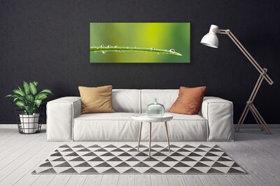 Bild på canvas Daggdroppe på gräset