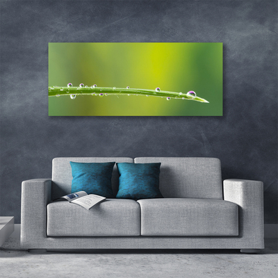 Bild på canvas Daggdroppe på gräset
