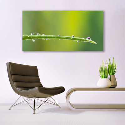 Bild på canvas Daggdroppe på gräset