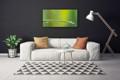 Bild på canvas Daggdroppe på gräset