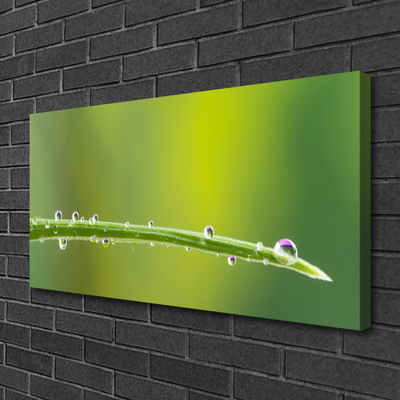 Bild på canvas Daggdroppe på gräset