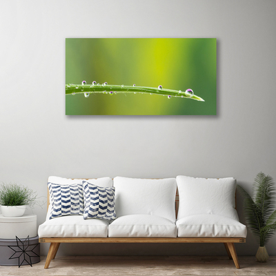 Bild på canvas Daggdroppe på gräset
