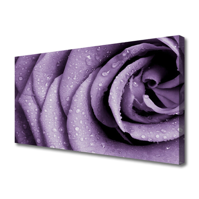 Canvas bild Rose Flower Plant