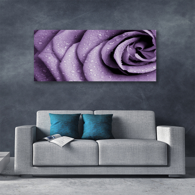 Canvas bild Rose Flower Plant