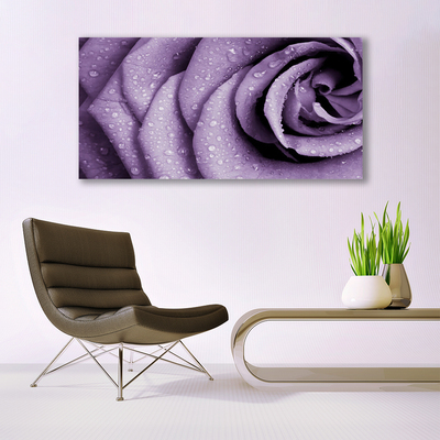 Canvas bild Rose Flower Plant