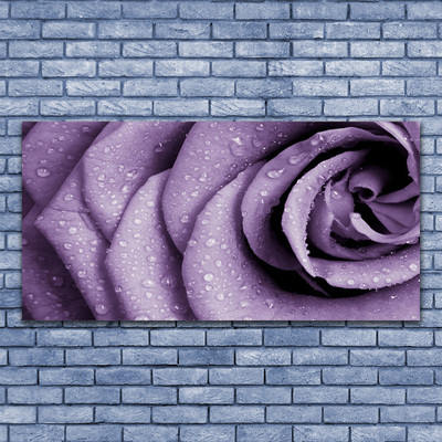 Canvas bild Rose Flower Plant