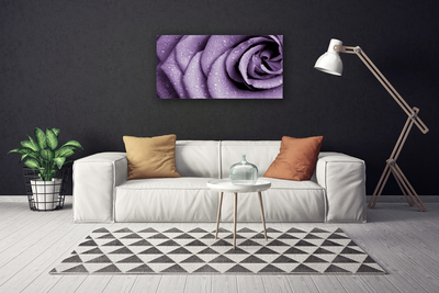 Canvas bild Rose Flower Plant