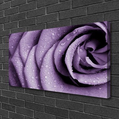 Canvas bild Rose Flower Plant