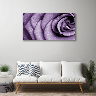 Canvas bild Rose Flower Plant