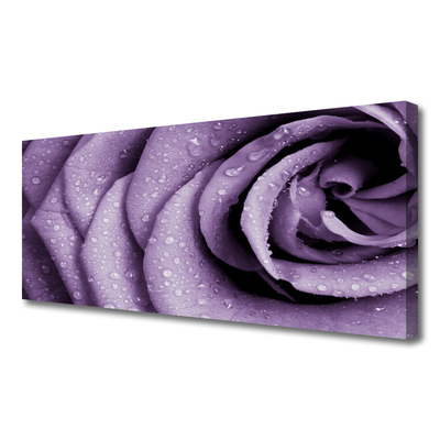 Canvas bild Rose Flower Plant