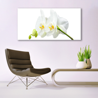 Fototryck canvas Vita orkidéblommor