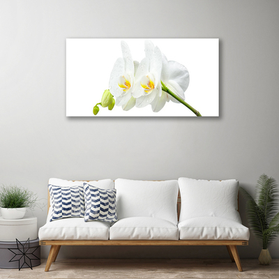 Fototryck canvas Vita orkidéblommor