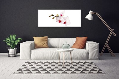 Canvas bild Blommor Natur Orchid