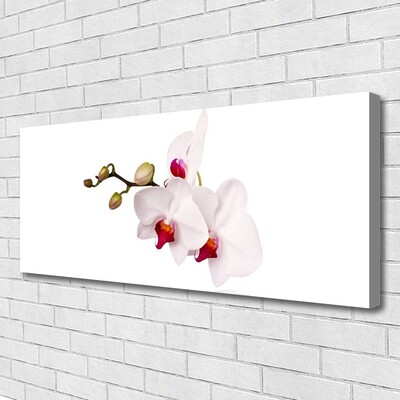 Canvas bild Blommor Natur Orchid