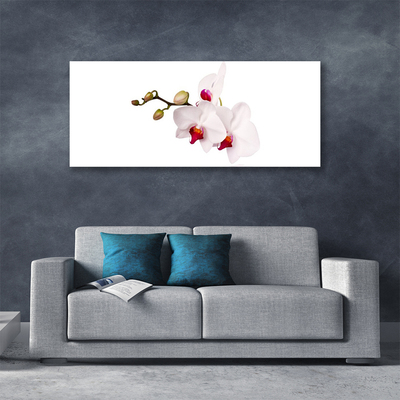 Canvas bild Blommor Natur Orchid