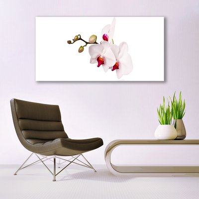 Canvas bild Blommor Natur Orchid