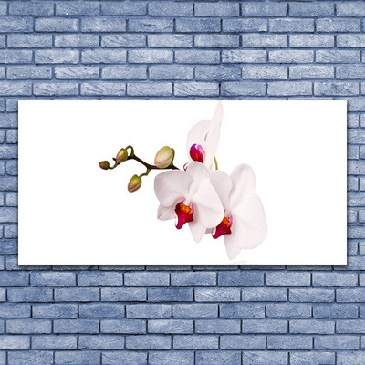 Canvas bild Blommor Natur Orchid