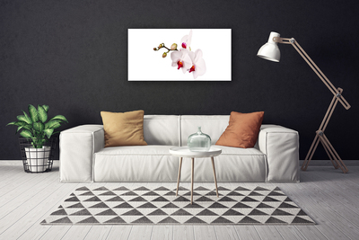 Canvas bild Blommor Natur Orchid