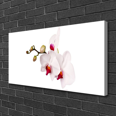 Canvas bild Blommor Natur Orchid