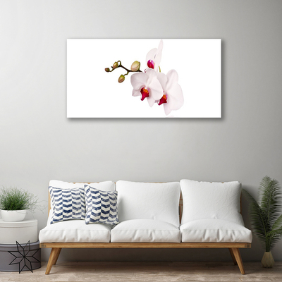 Canvas bild Blommor Natur Orchid