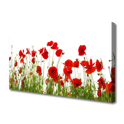 Canvas bild Vallmo Blommor Natur Växt