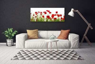 Canvas bild Vallmo Blommor Natur Växt