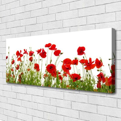 Canvas bild Vallmo Blommor Natur Växt