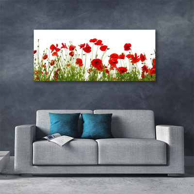 Canvas bild Vallmo Blommor Natur Växt