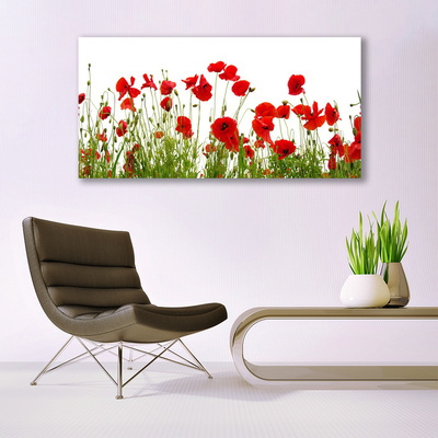 Canvas bild Vallmo Blommor Natur Växt