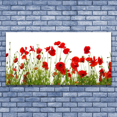 Canvas bild Vallmo Blommor Natur Växt