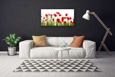 Canvas bild Vallmo Blommor Natur Växt