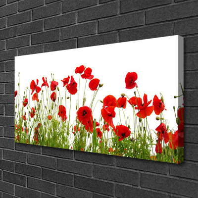 Canvas bild Vallmo Blommor Natur Växt