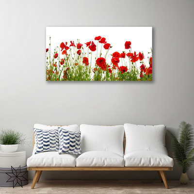 Canvas bild Vallmo Blommor Natur Växt