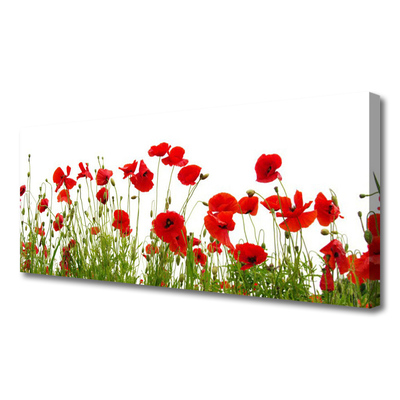 Canvas bild Vallmo Blommor Natur Växt