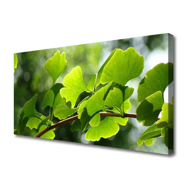 Fototryck canvas Grenar lämnar naturträd