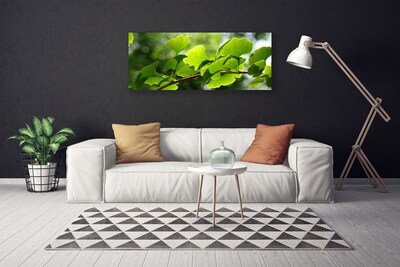 Fototryck canvas Grenar lämnar naturträd