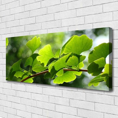 Fototryck canvas Grenar lämnar naturträd