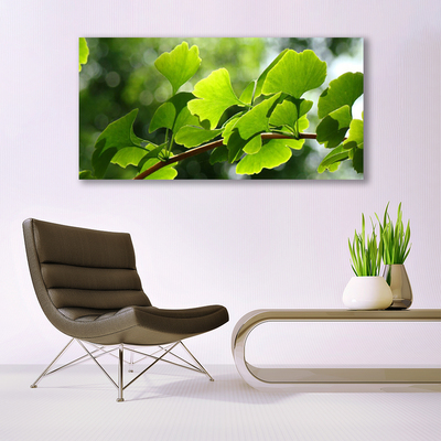 Fototryck canvas Grenar lämnar naturträd