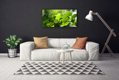 Fototryck canvas Grenar lämnar naturträd