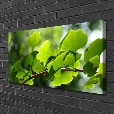 Fototryck canvas Grenar lämnar naturträd