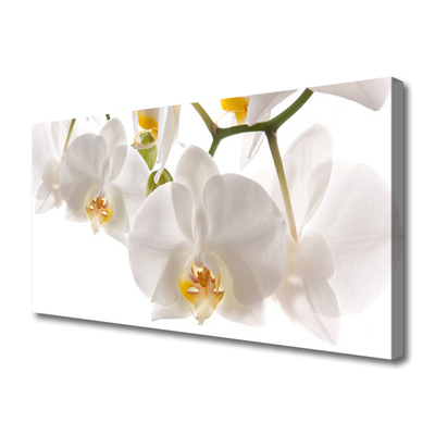 Fototryck canvas Orkidé Blommor Natur