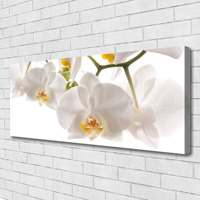 Fototryck canvas Orkidé Blommor Natur