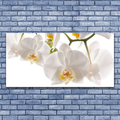 Fototryck canvas Orkidé Blommor Natur